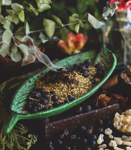 Biljni prah Jod №53 za podršku štitnoj žlezdi - sastav od koprive, oraha i aronije