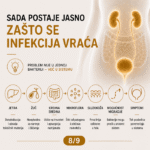 ruski-eliksir-komplet-za-urinarni-sistem