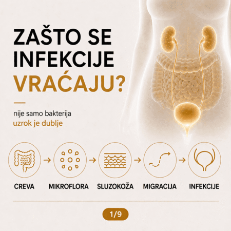 Infografika o razlozima ponovnog pojavljivanja urinarnih infekcija kod žena