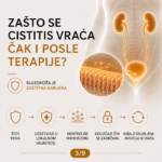 ruski-eliksir-komplet-za-urinarni-sistem