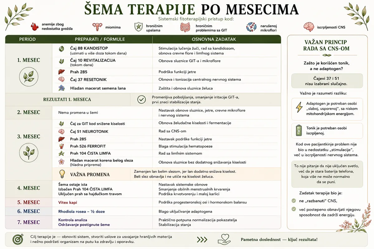 Šema fitoterapijske podrške po mesecima — sistemski pristup kod anemije
